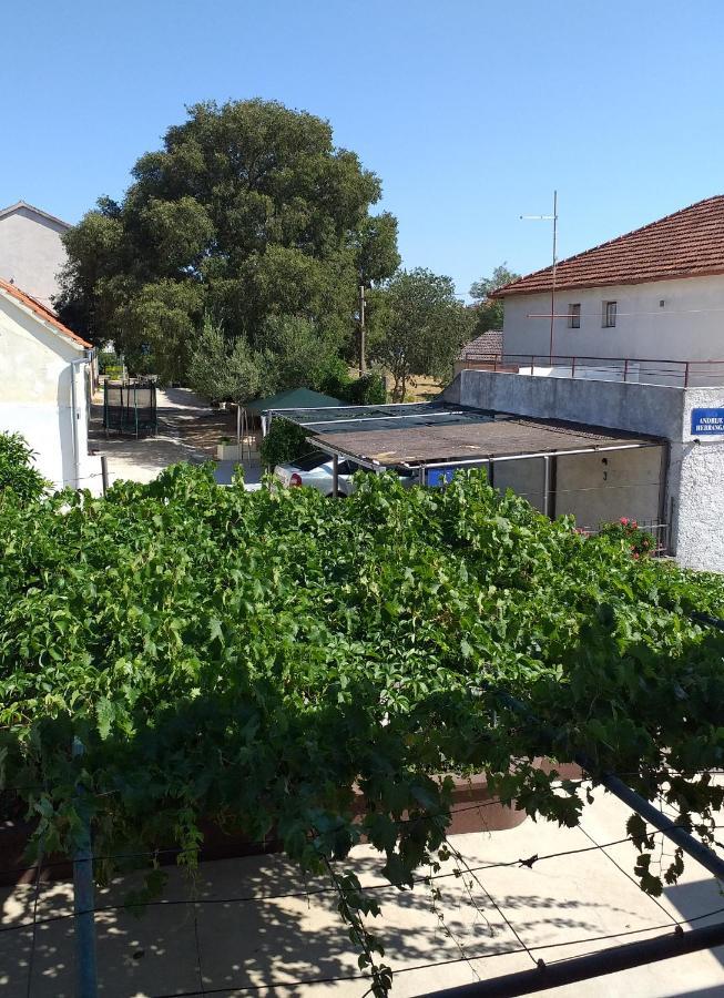 Apartments Jelicic Biograd Na Moru Dış mekan fotoğraf