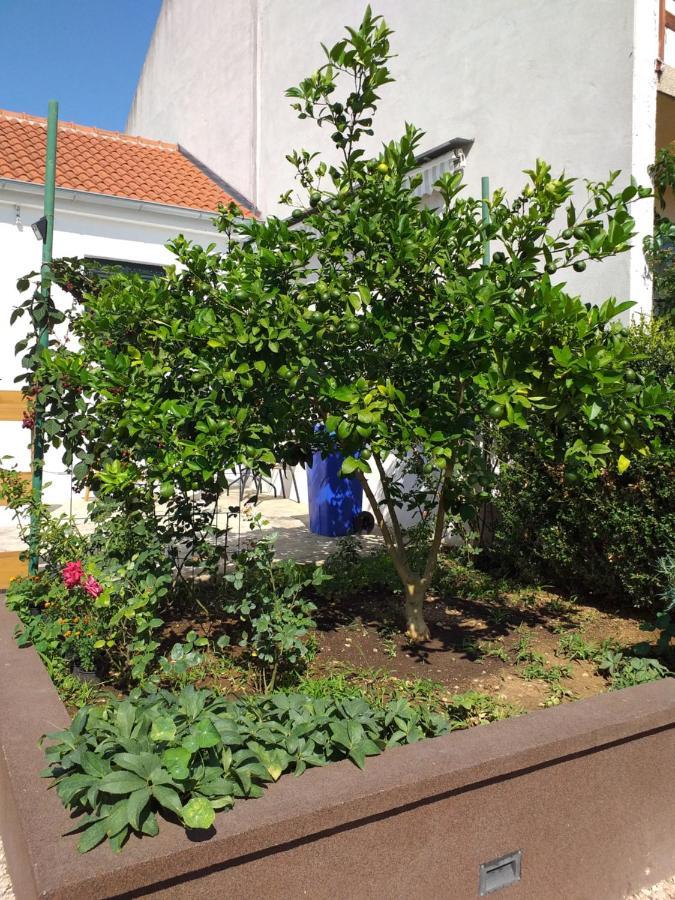 Apartments Jelicic Biograd Na Moru Dış mekan fotoğraf