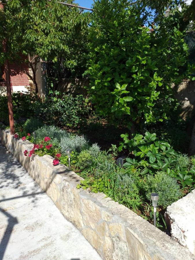 Apartments Jelicic Biograd Na Moru Dış mekan fotoğraf