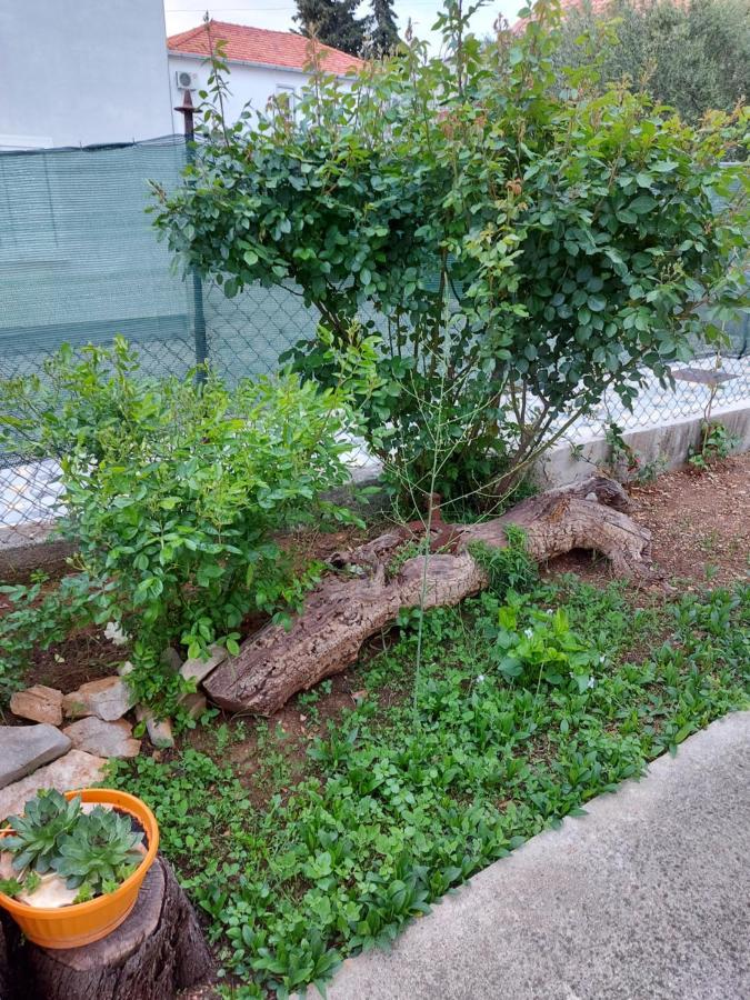Apartments Jelicic Biograd Na Moru Dış mekan fotoğraf