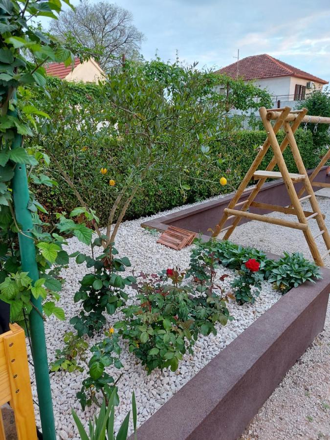 Apartments Jelicic Biograd Na Moru Dış mekan fotoğraf