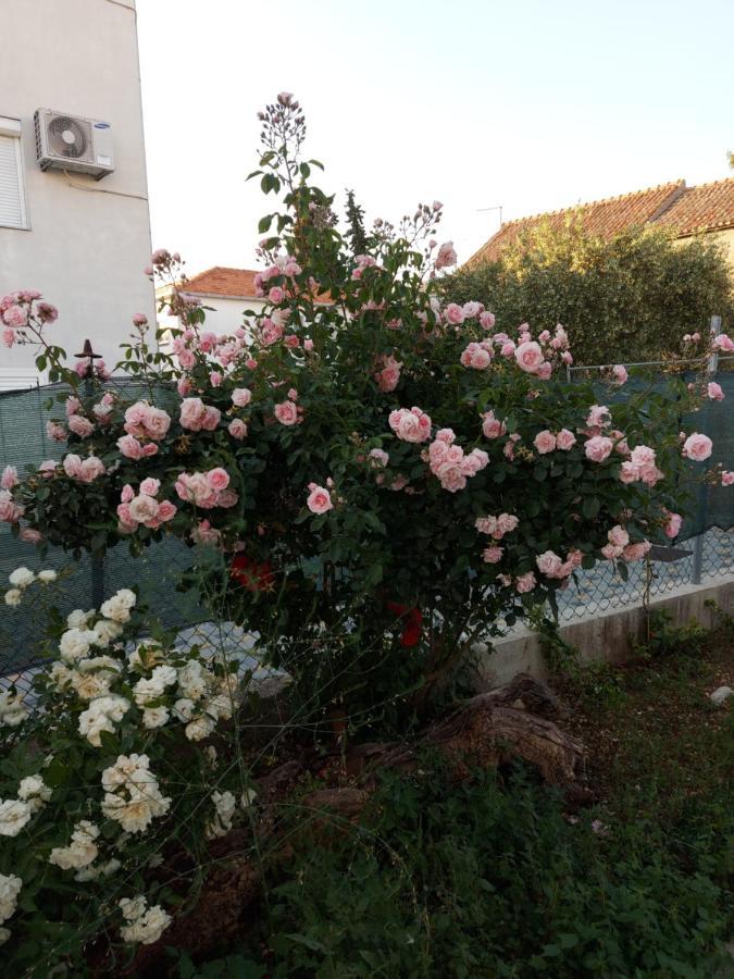 Apartments Jelicic Biograd Na Moru Dış mekan fotoğraf