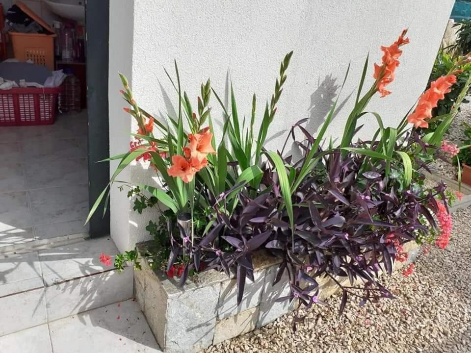 Apartments Jelicic Biograd Na Moru Dış mekan fotoğraf