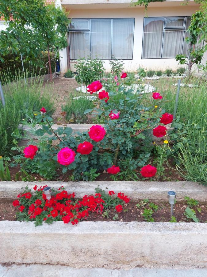 Apartments Jelicic Biograd Na Moru Dış mekan fotoğraf